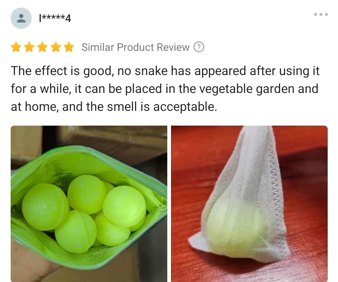 WhatsApp Image 2025-10-16 at 13.18.41